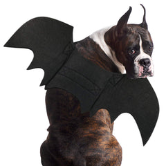 Disfraz de murciélago Rypet con alas para perro, ideal para Noche de Brujas