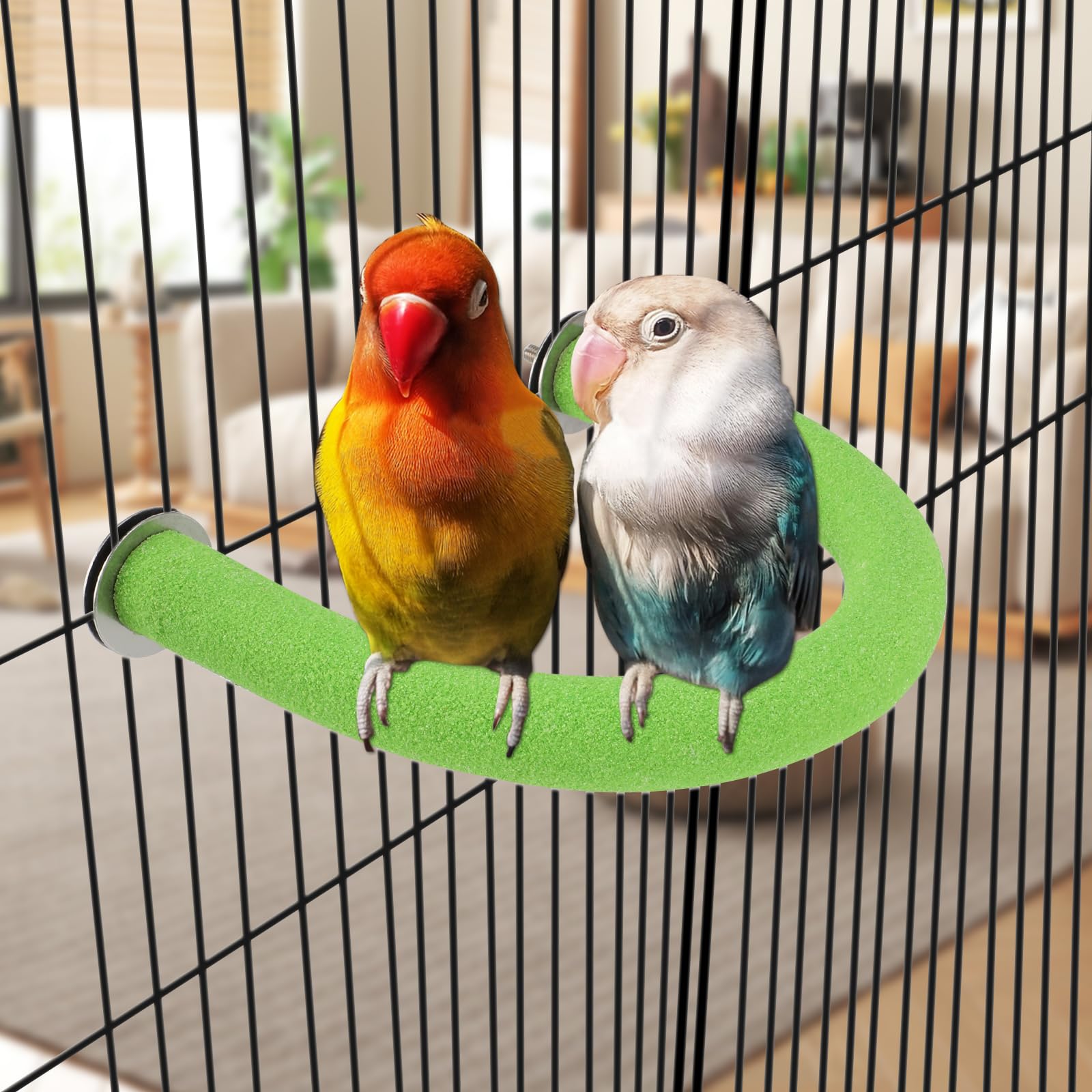 Rypet percha verde para loro mejora coordinación y diversión