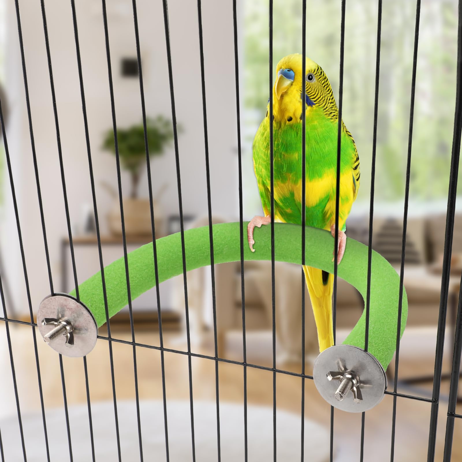 Rypet percha loro instalación fácil con tornillos y tuerca verdes