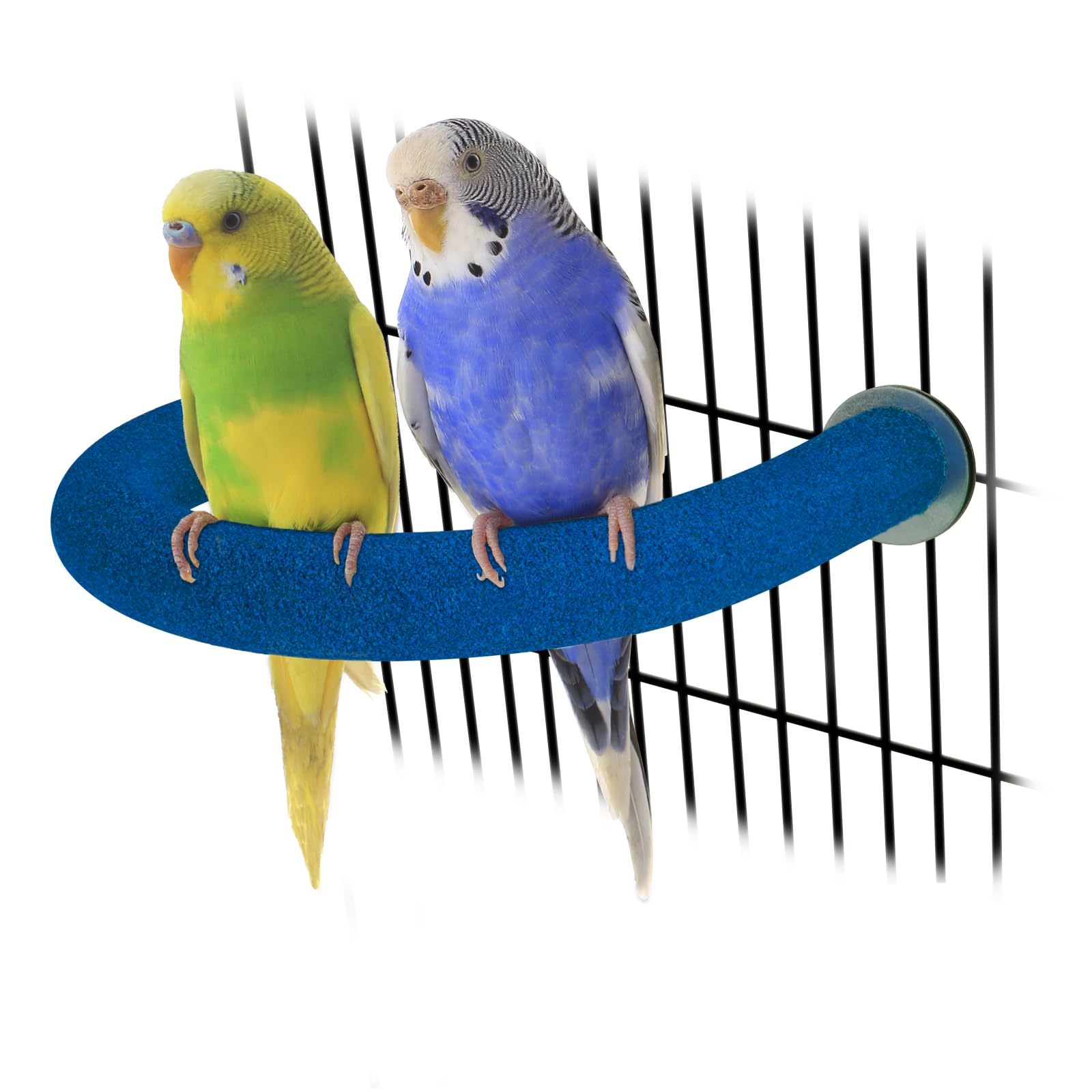 Percha de loro Rypet con superficie arenosa rugosa para ejercicio de patas.