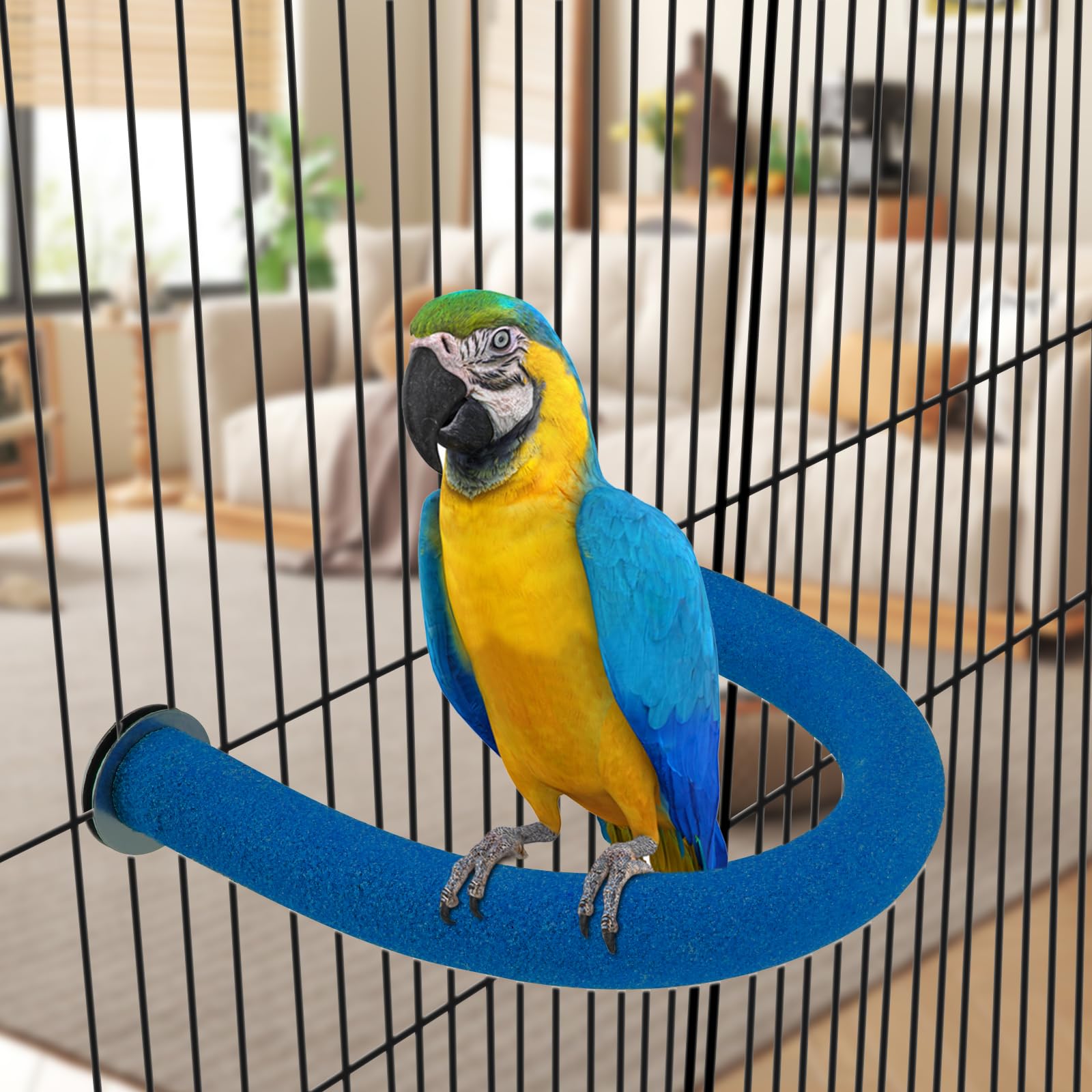 Rypet percha en U para loros azul, diseño natural en madera para aves pequeñas.