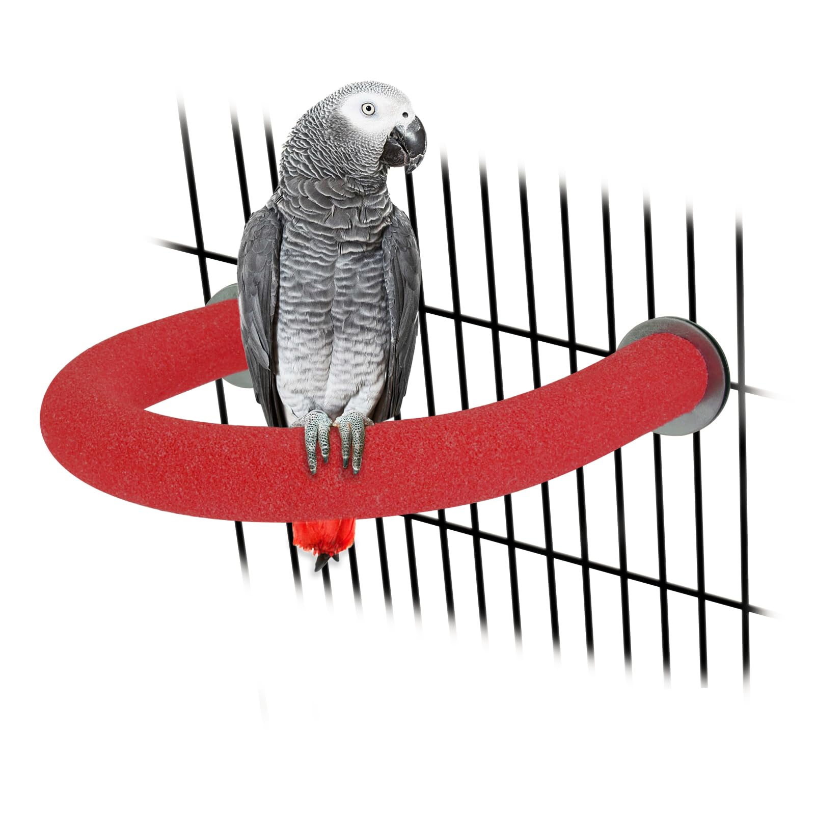 Rypet percha U Shape para loros ofrece espacio cómodo en jaula.