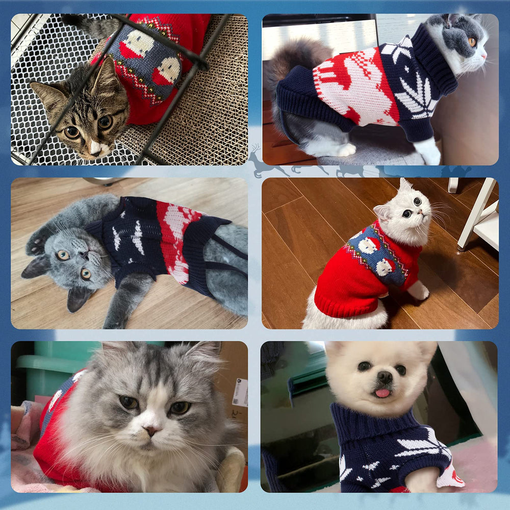 Rypet uso diario para fiestas y sesiones de fotos navideñas.