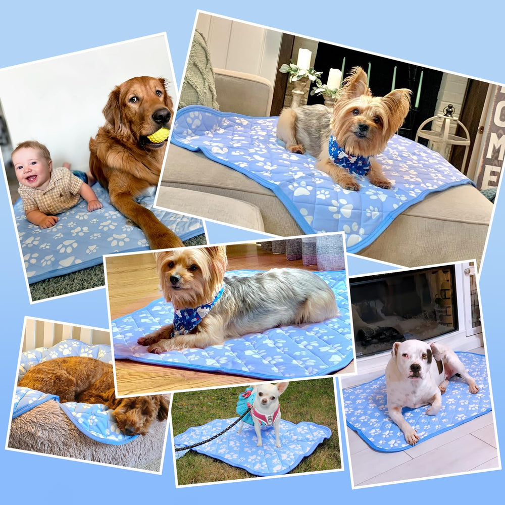 Rywell Uso multi-mascotas para perros, gatos y conejos.