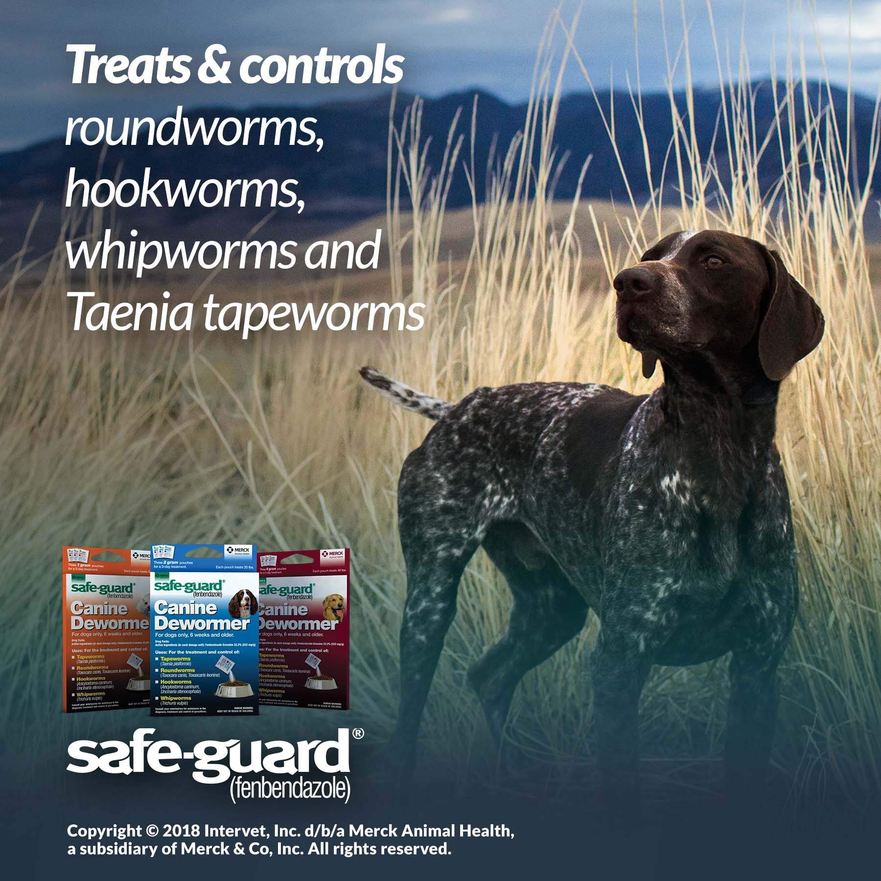 Safe-Guard etiqueta del producto con instrucciones claras