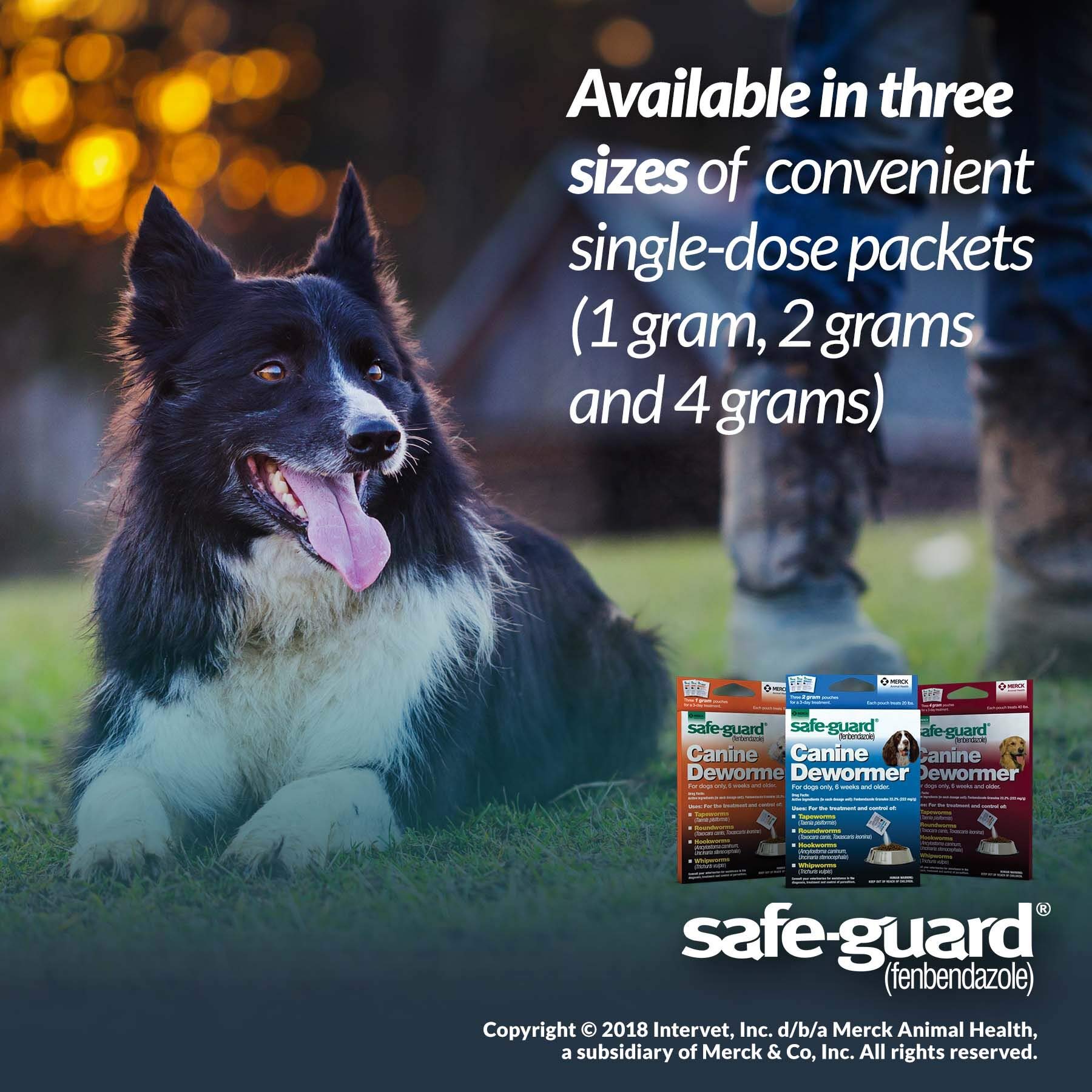 Safe-Guard uso en cachorros desde 6 semanas