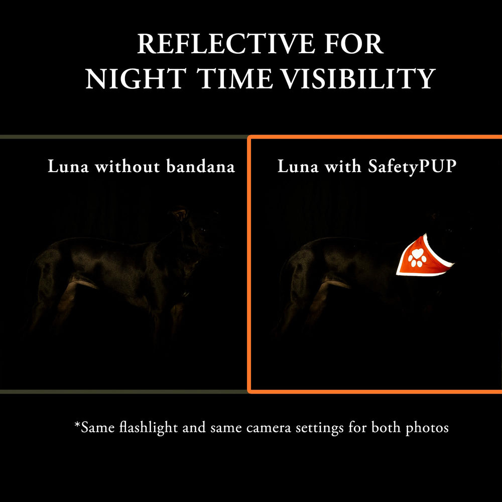 SafetyPUP XD bandana naranja-ajuste-velcro, ajuste seguro y cómodo para perros activos