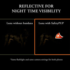 SafetyPUP XD bandana naranja-ajuste-velcro, ajuste seguro y cómodo para perros activos