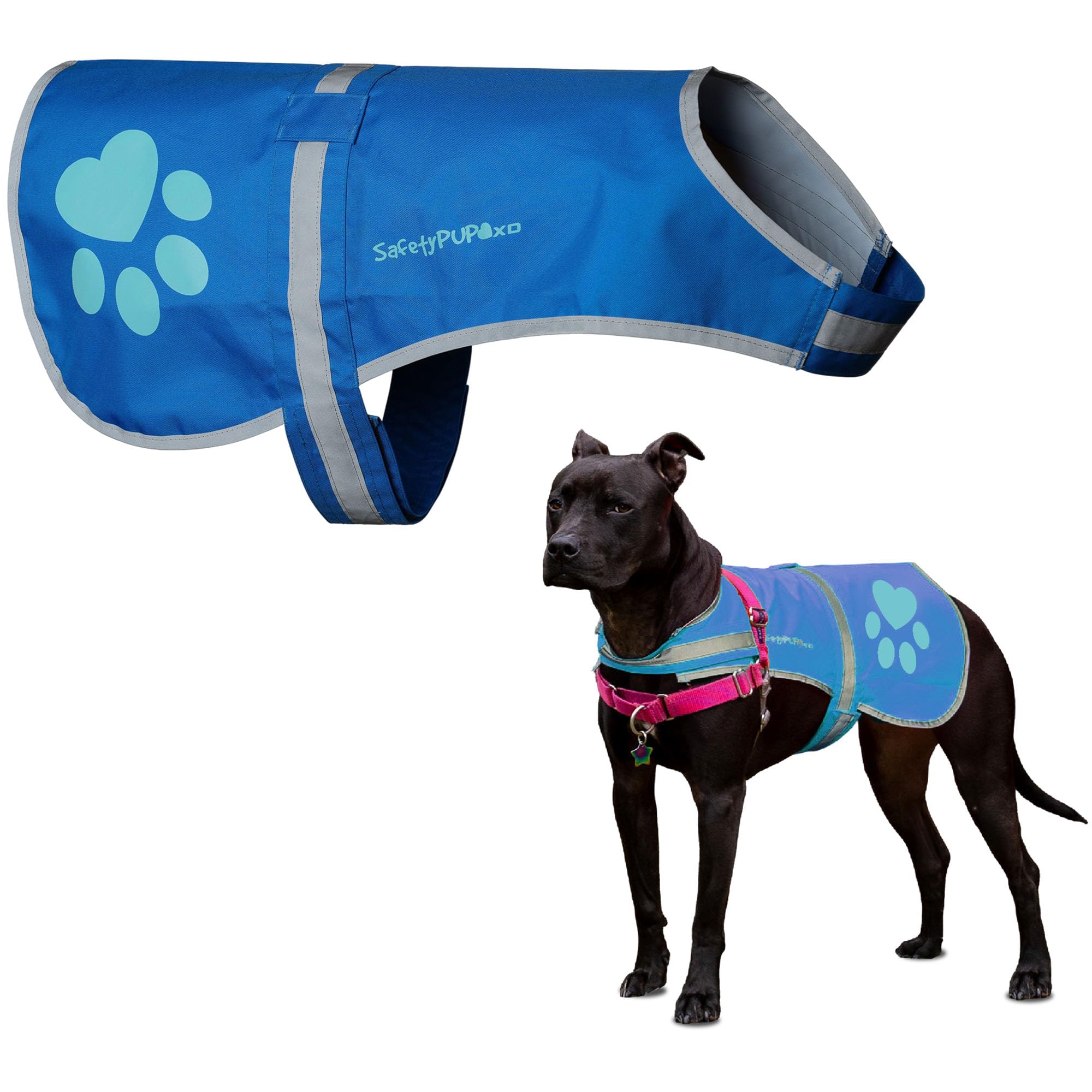 SafetyPUP XD chaleco reflectante para perro en urbano azul, mejora la visibilidad diurna y nocturna
