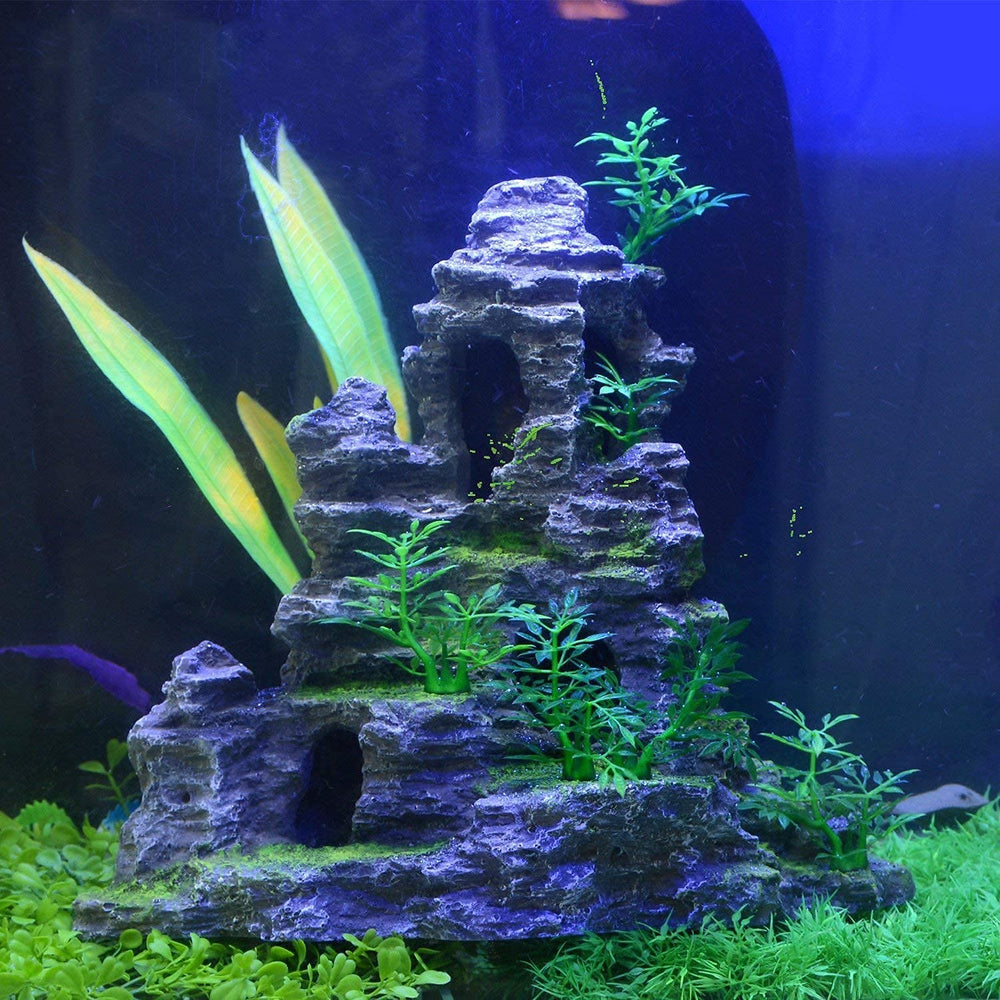 Saim diseno escena acuario: crea paisaje visual agradable con descanso y juego