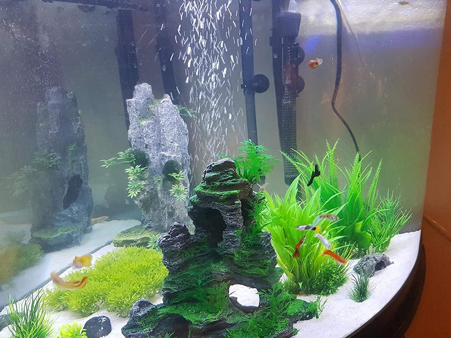 Saim habitat para peces y cangrejos: ideal para explorar y esconderse
