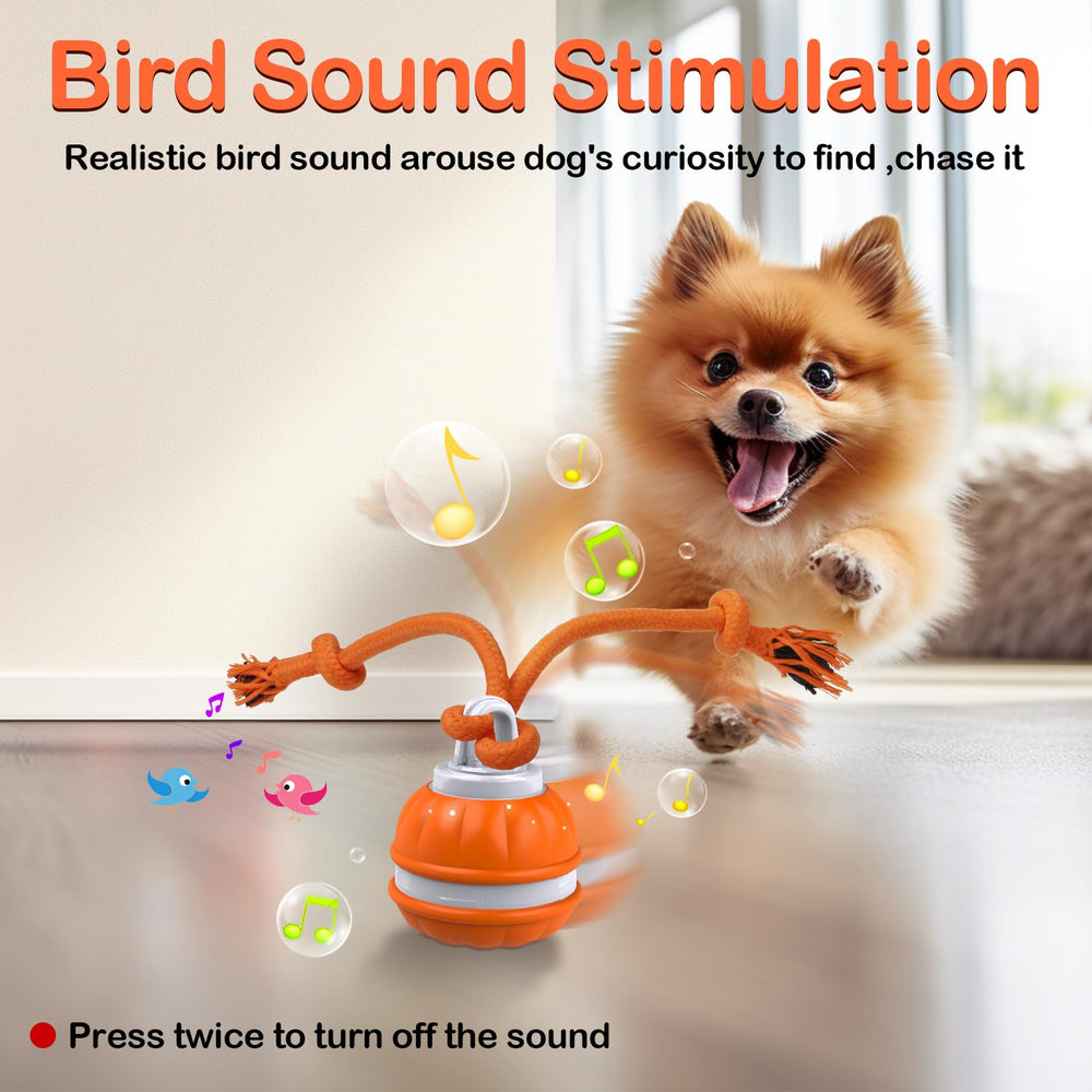 Salodal Peppy Pet Ball con modos de juego adaptables a cada perro.