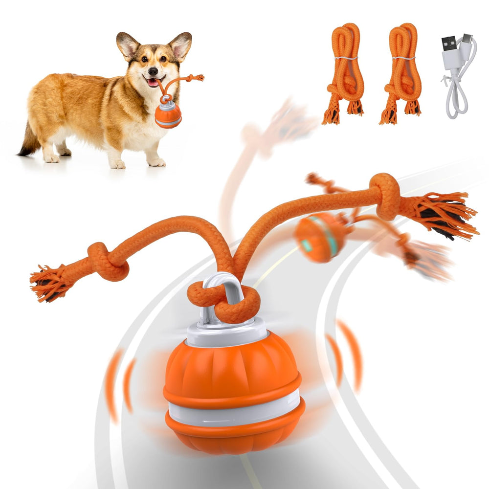 Salodal Peppy Pet Ball rodando, ideal para perros activos.