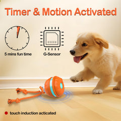 Salodal Peppy Pet Ball con sonido de pájaros para atraer al perro.
