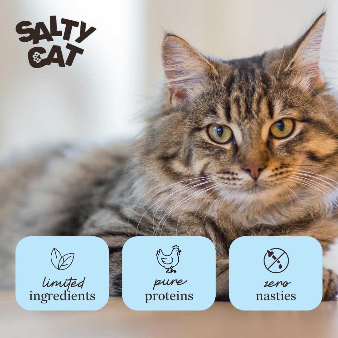 Salty Cat snack bajo calorías, opción sana para mordiscos.