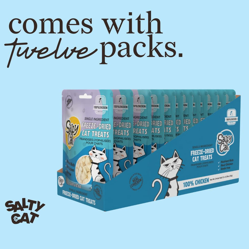Salty Cat presentación de 12 packs, opción práctica para casa.