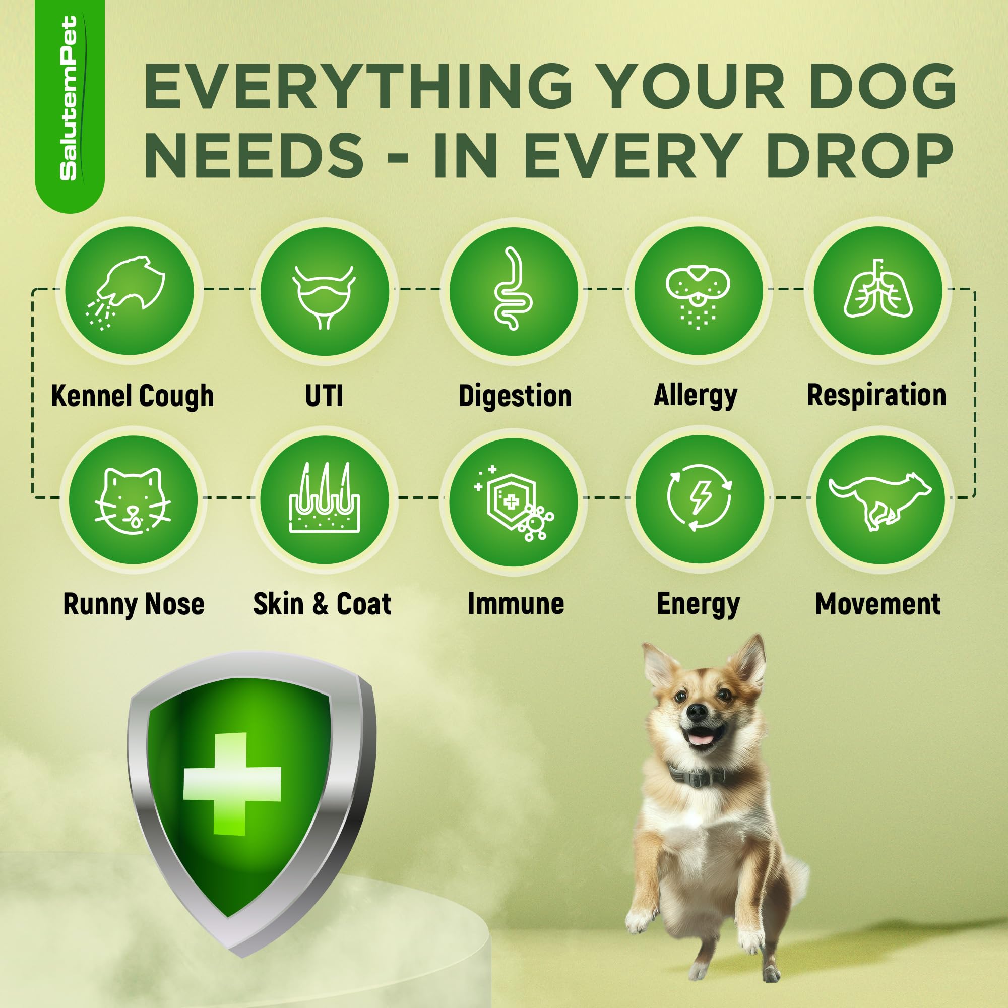 SalutemPet Antibiotico natural gotero para aplicación directa en la boca del perro