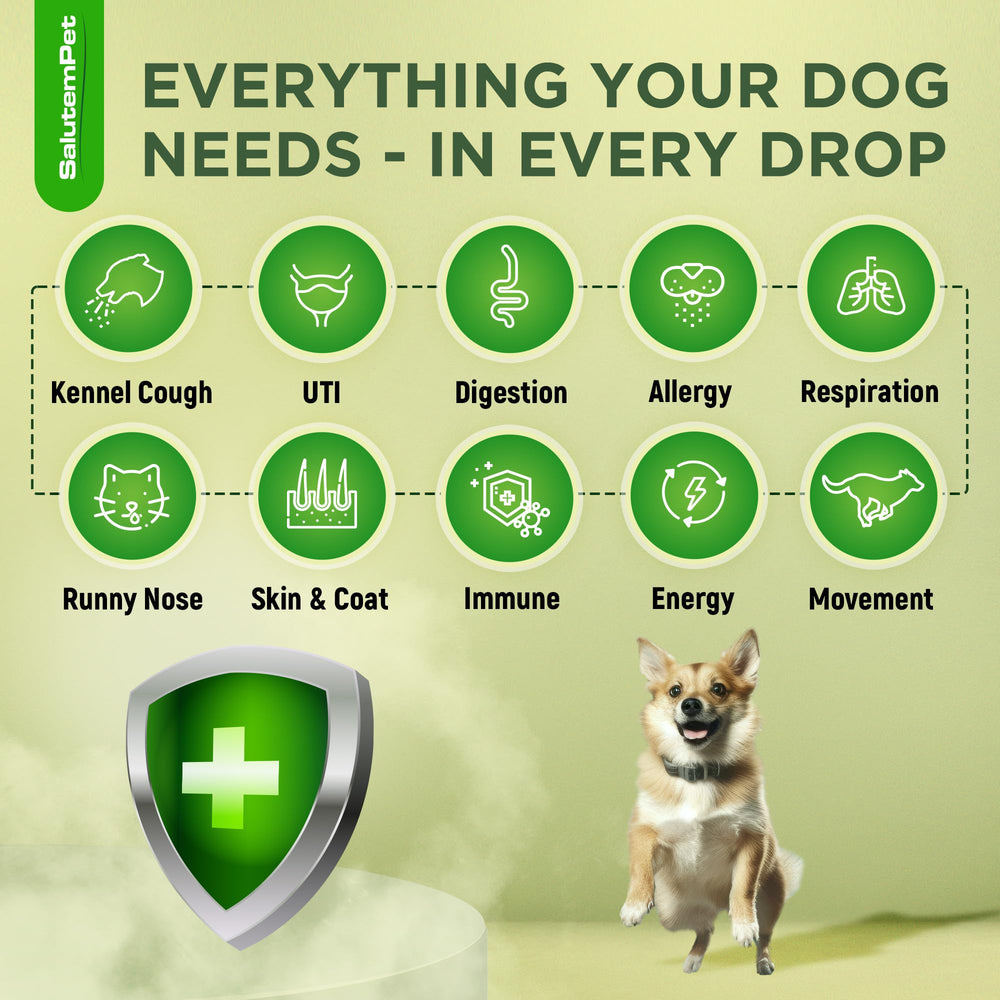 SalutemPet Antibiotico natural gotero para aplicación directa en la boca del perro