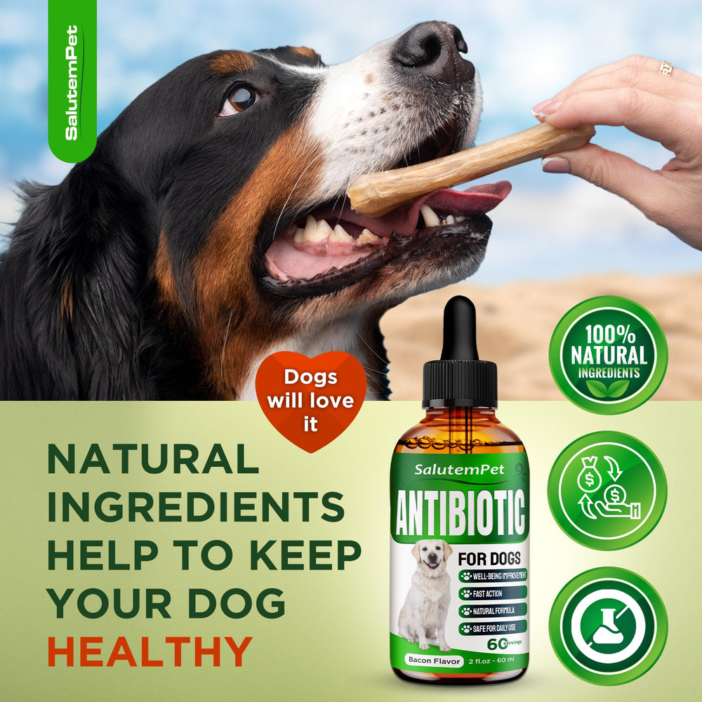 SalutemPet Antibiotico natural cuidado diario de articulaciones gracias a la fórmula herbácea