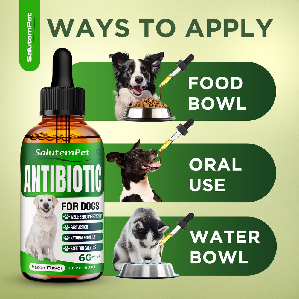 SalutemPet Antibiotico natural ingredientes herbales seleccionados para bienestar general del perro