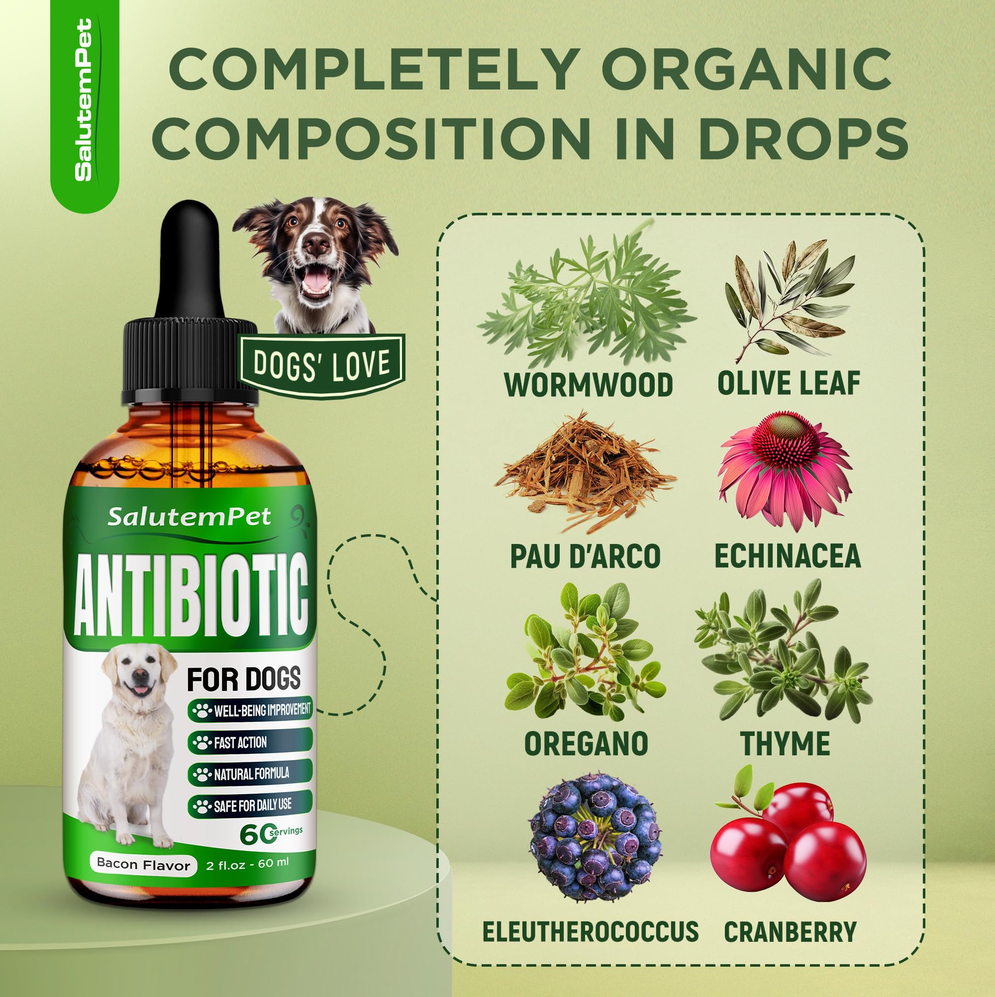 SalutemPet Antibiotico natural mezcla fácil con la comida para perros