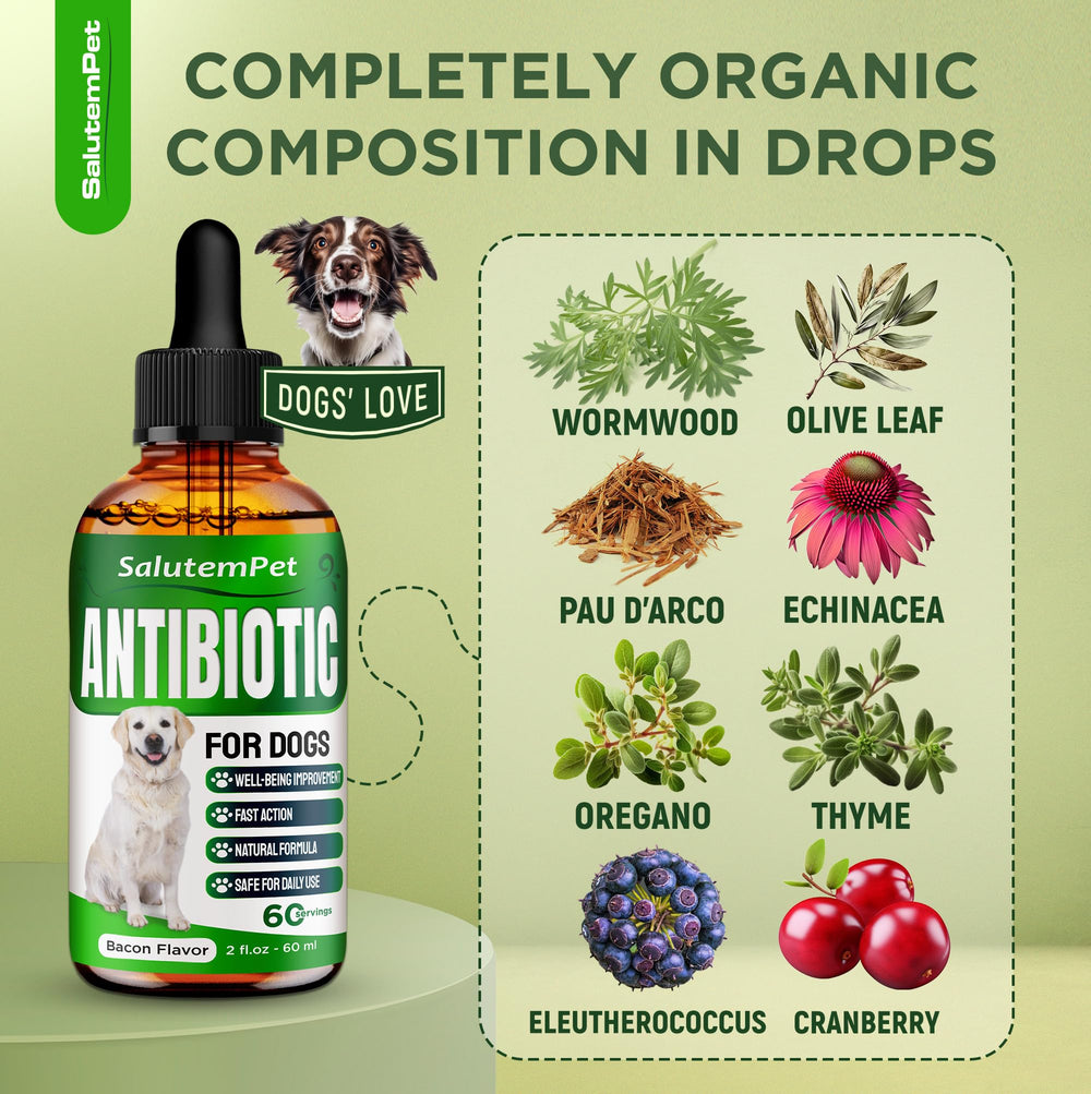 SalutemPet Antibiotico natural mezcla fácil con la comida para perros