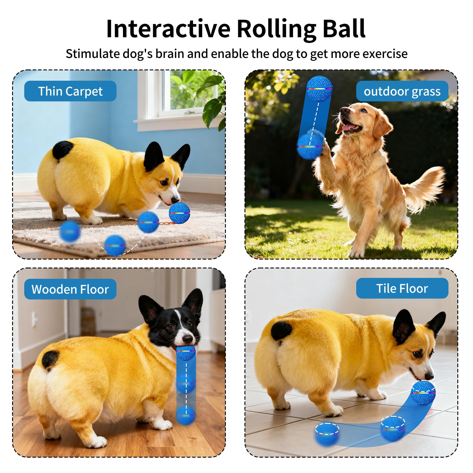 Tres modos de juego para perros pequeños y medianos con Sankell.