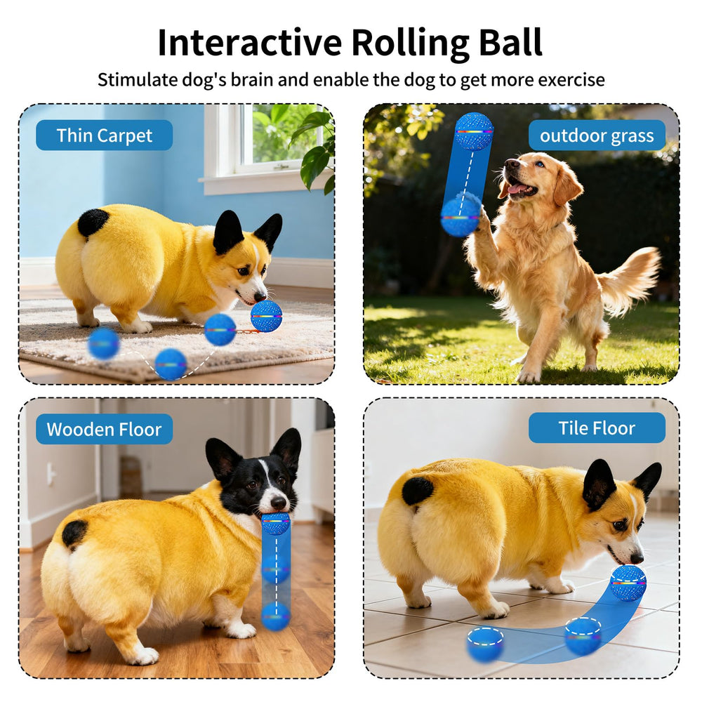 Tres modos de juego para perros pequeños y medianos con Sankell.