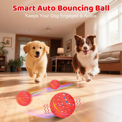 Sankell bola rodante con tres modos de juego para perros activos