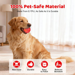 Sankell bola de 2,8 pulgadas ideal para perros pequeños y medianos
