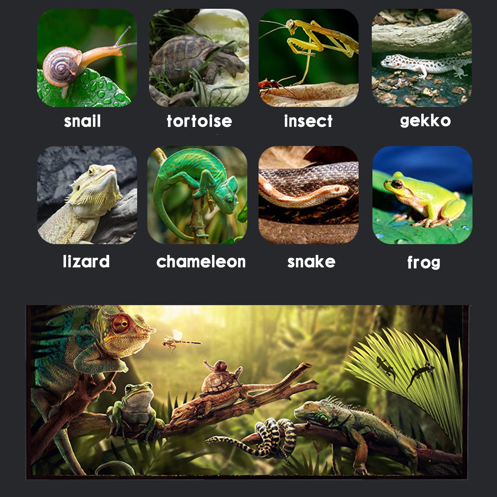 SANOSY terrario apto para reptiles y anfibios variados.