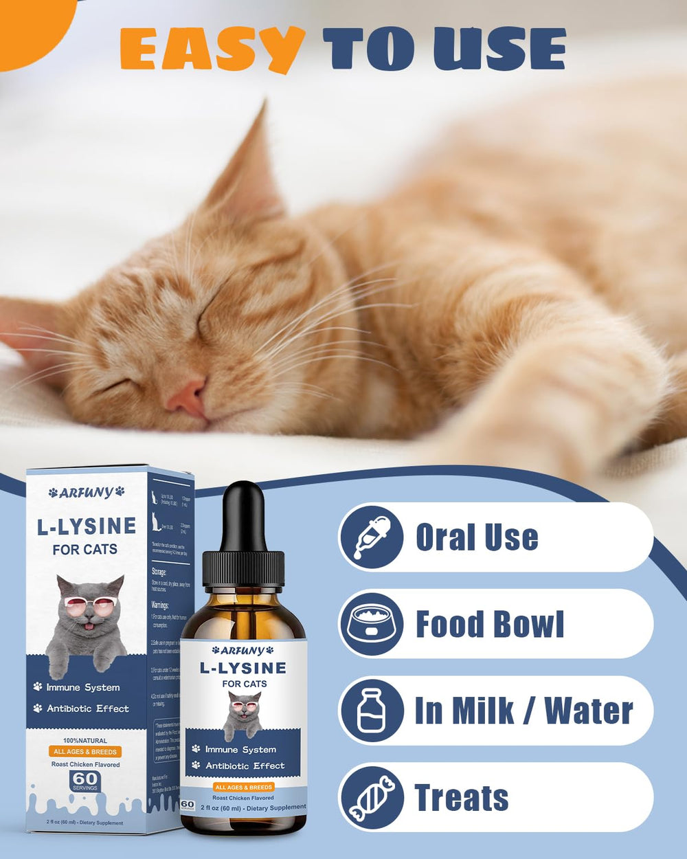 Apoyo general para gatos de todas las edades y razas