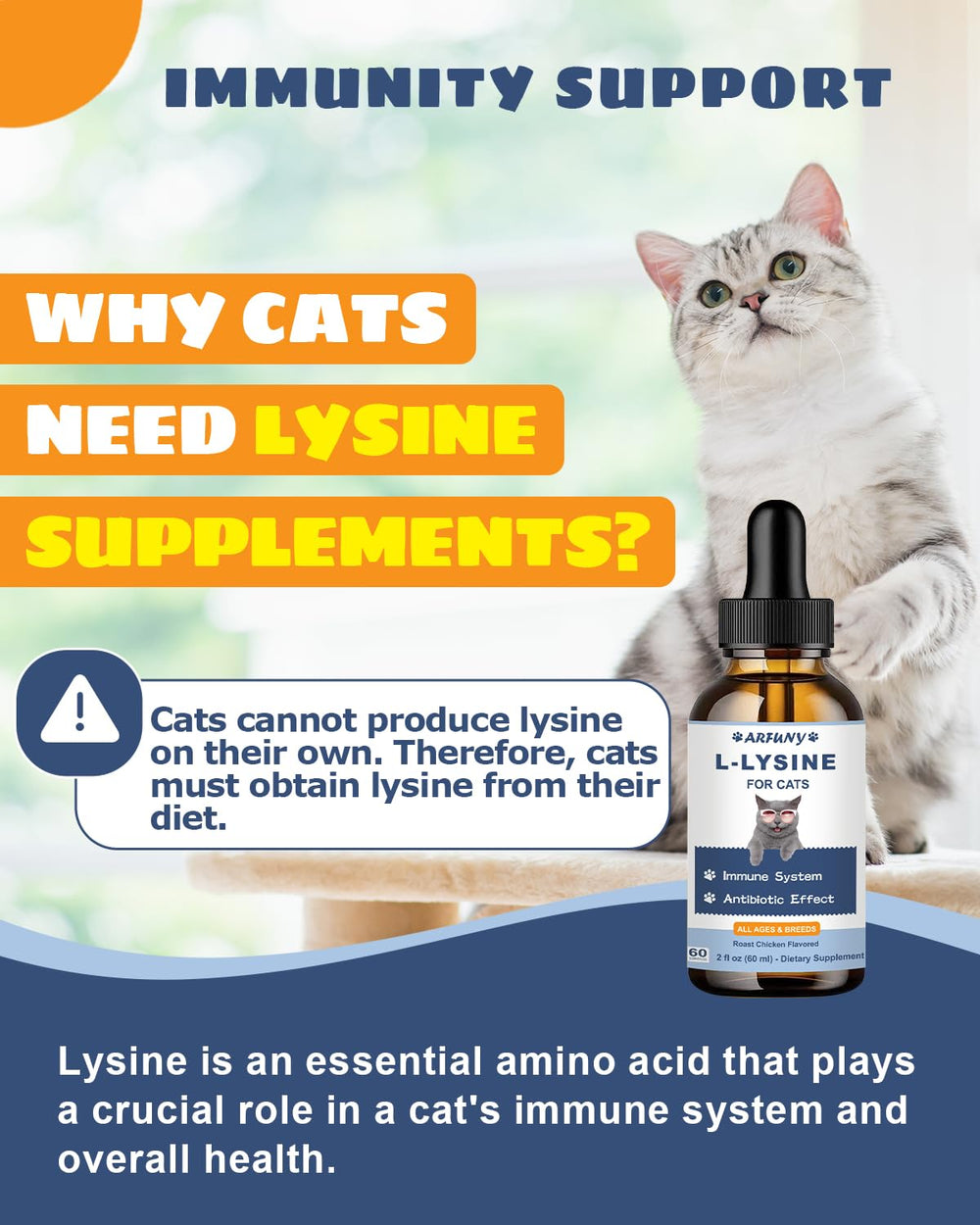 Ingredientes naturales de lisina para gatos que apoyan la salud