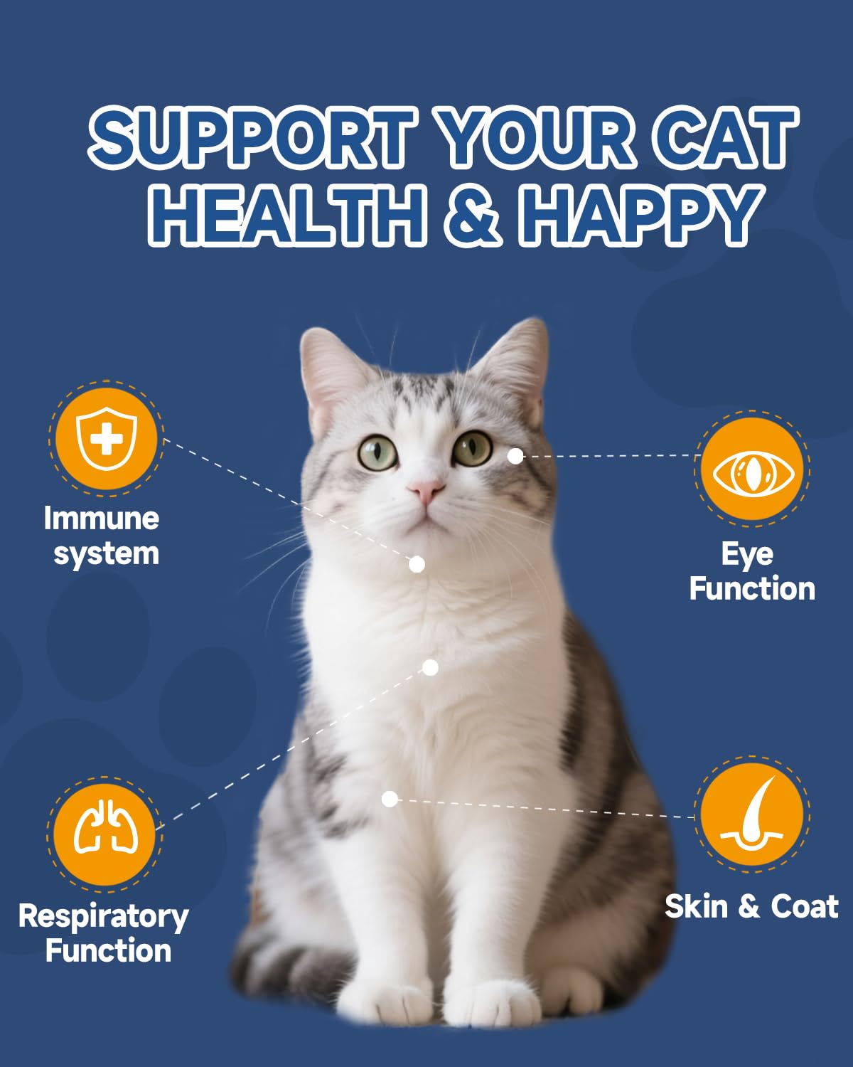 SANTKOL lisina-gatos-envase-compacto: dosificación sencilla