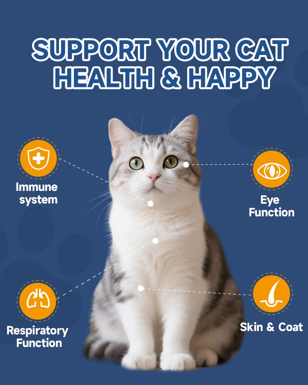 SANTKOL lisina-gatos-envase-compacto: dosificación sencilla
