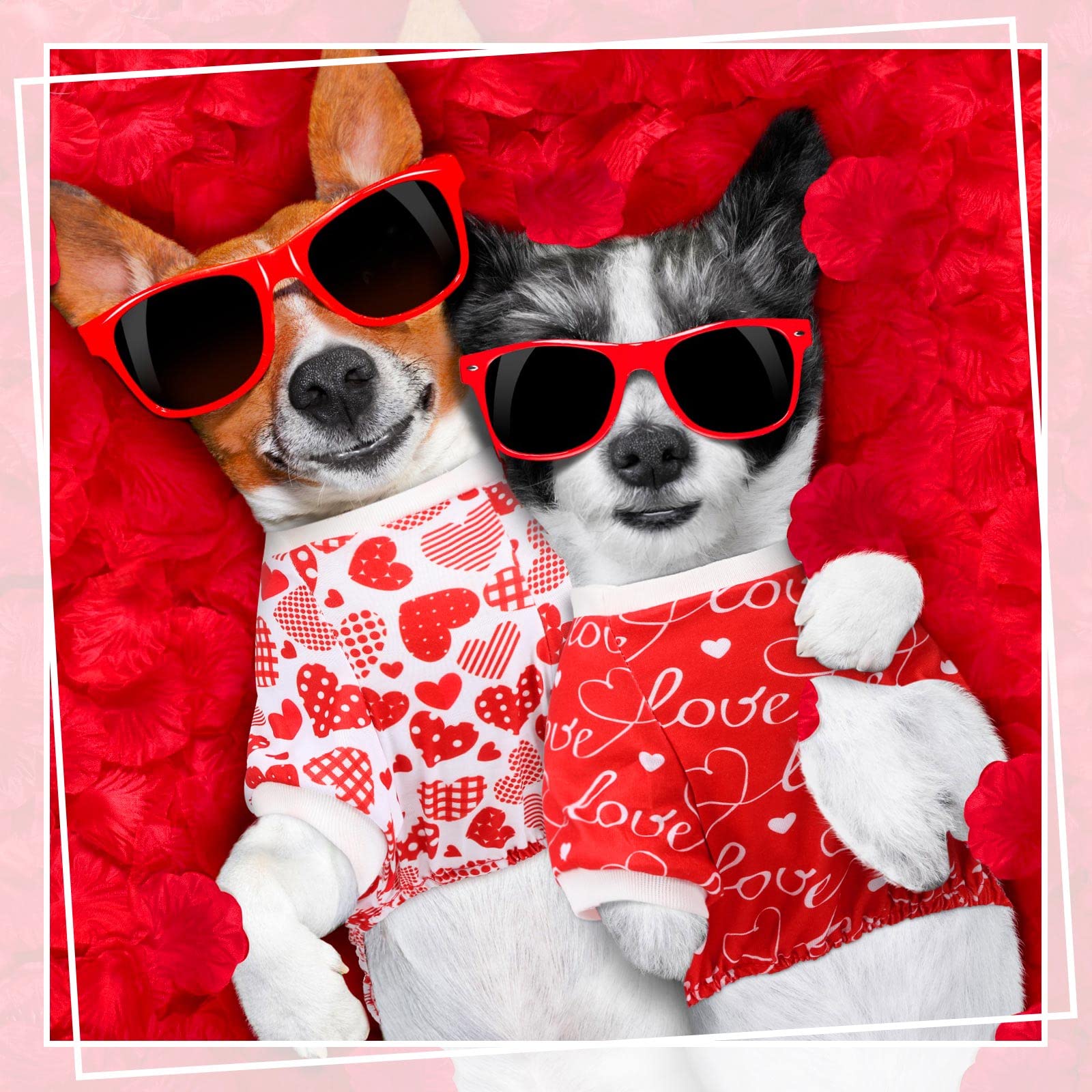 Pijamas Sanwuta para perro con diseño de corazón rojo, ideal para ocasiones especiales