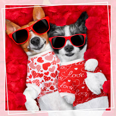 Pijamas Sanwuta para perro con diseño de corazón rojo, ideal para ocasiones especiales