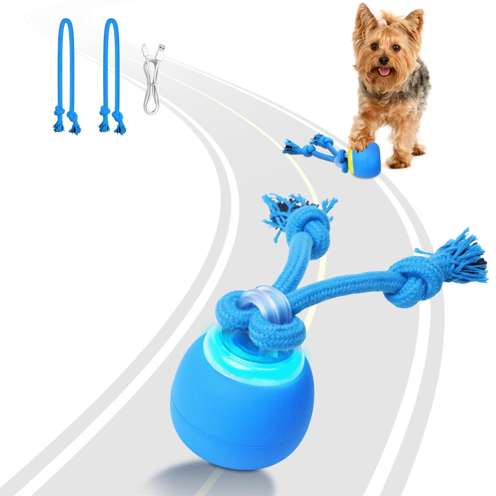 Saolife bola interactiva para perros pequeños, estimulación mental y juego activo.