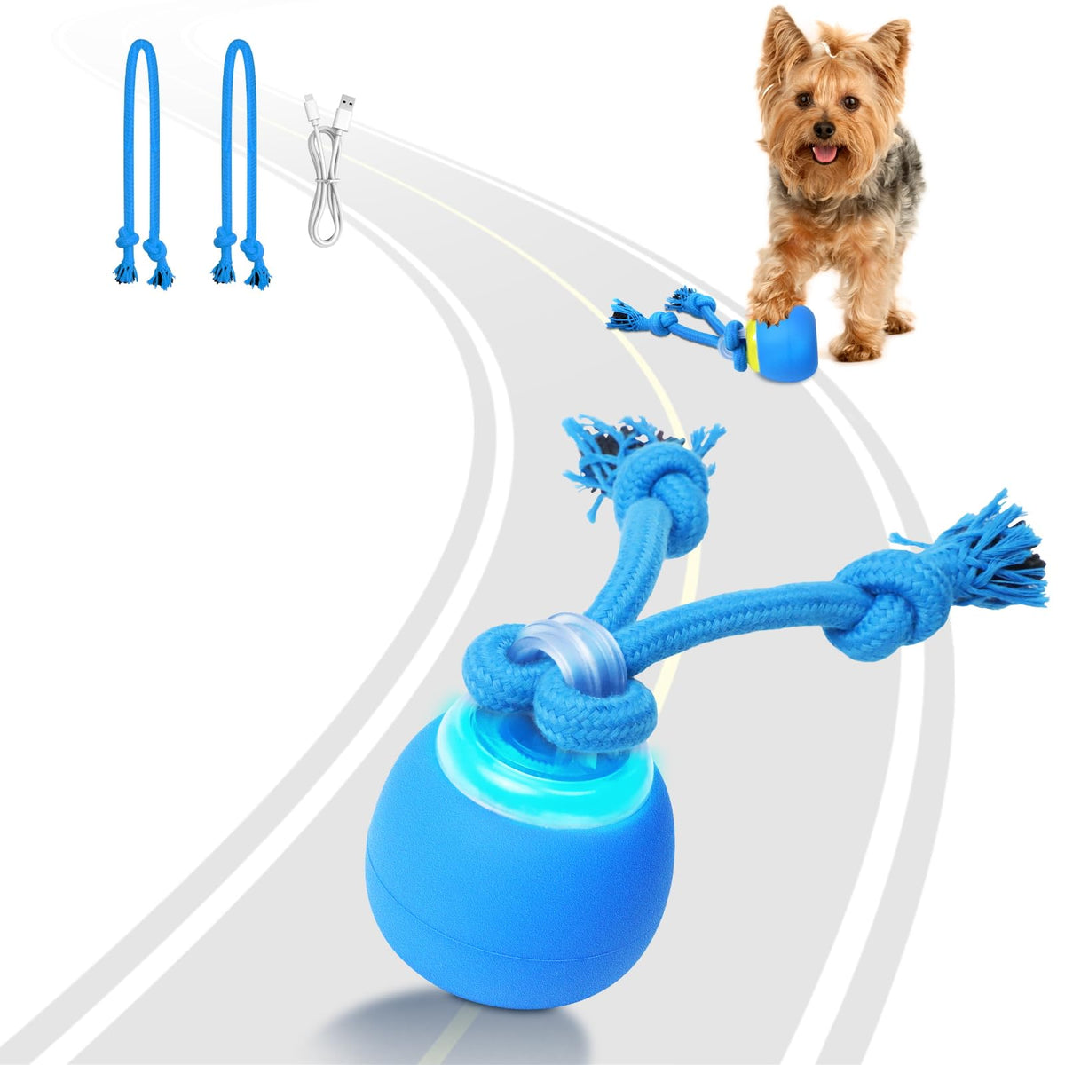 Saolife bola interactiva para perros pequeños, estimulación mental y juego activo.