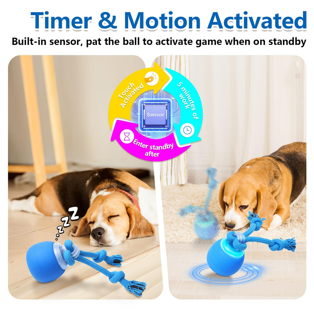 Saolife bola movimiento tacto para perros, mantiene la atención y la diversión.