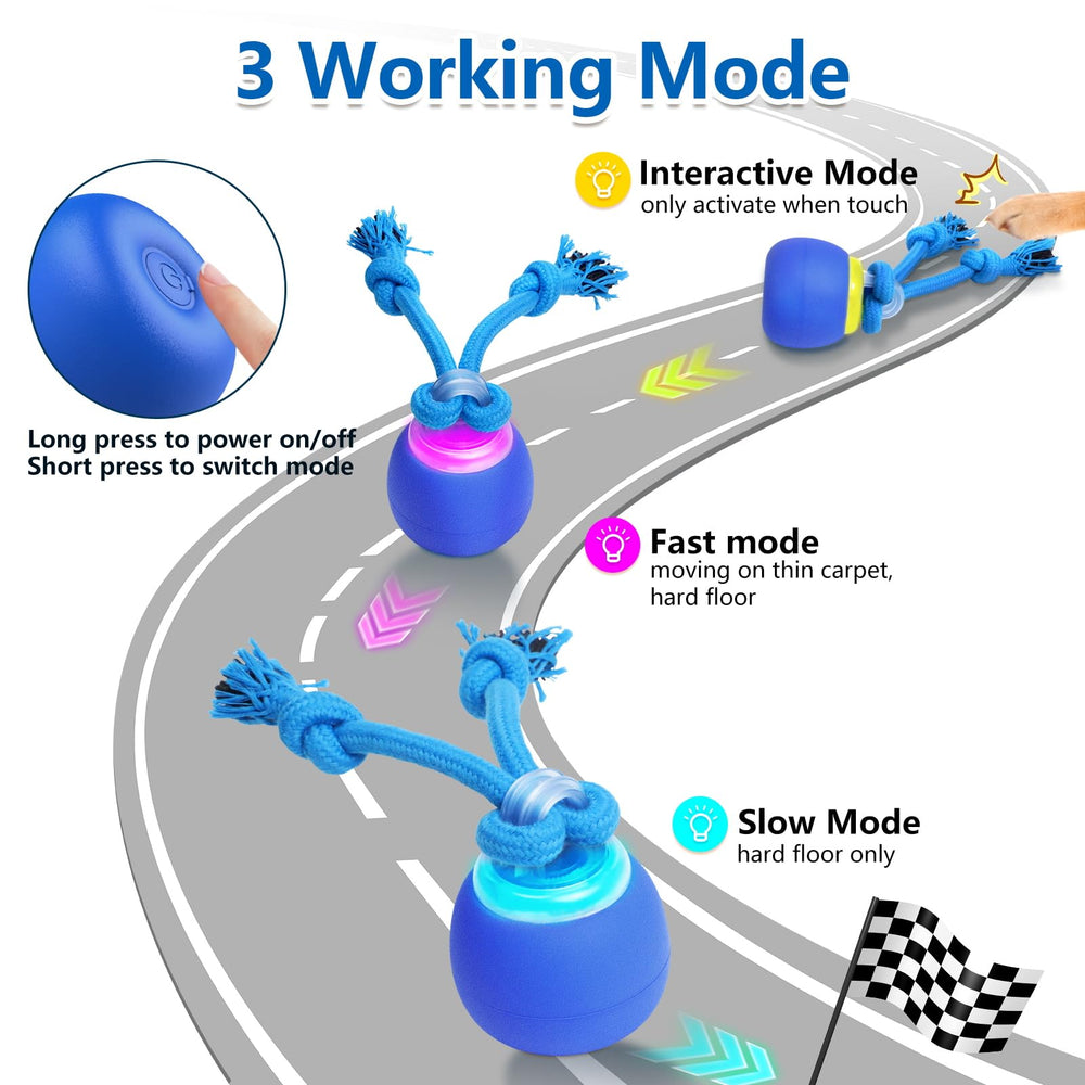 Saolife dispositivo con tres modos para adaptar el juego a la energía del perro.