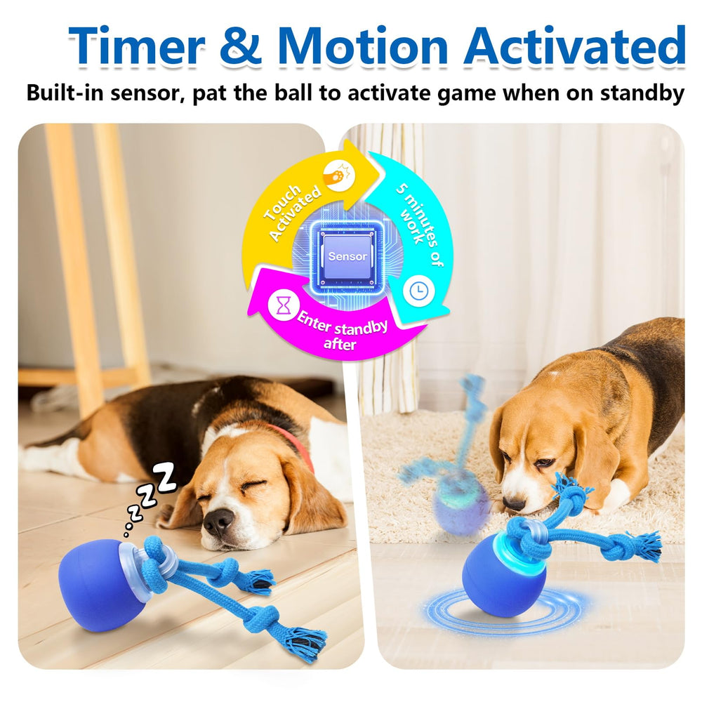Saolife juguete perro con sonido chirriante para atraer al perro y entretenerlo.