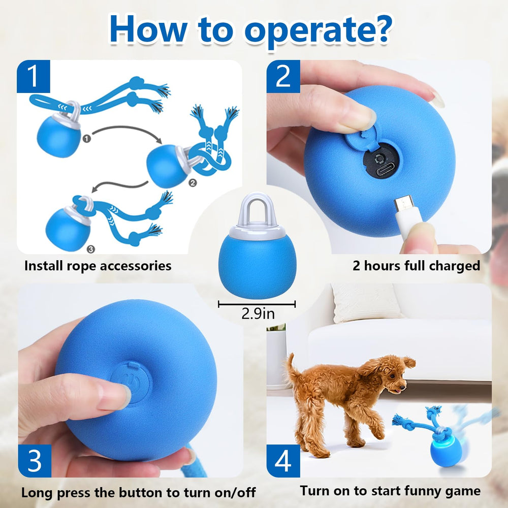 Saolife regalo para perros pequeños y medianos, entretenimiento diario.