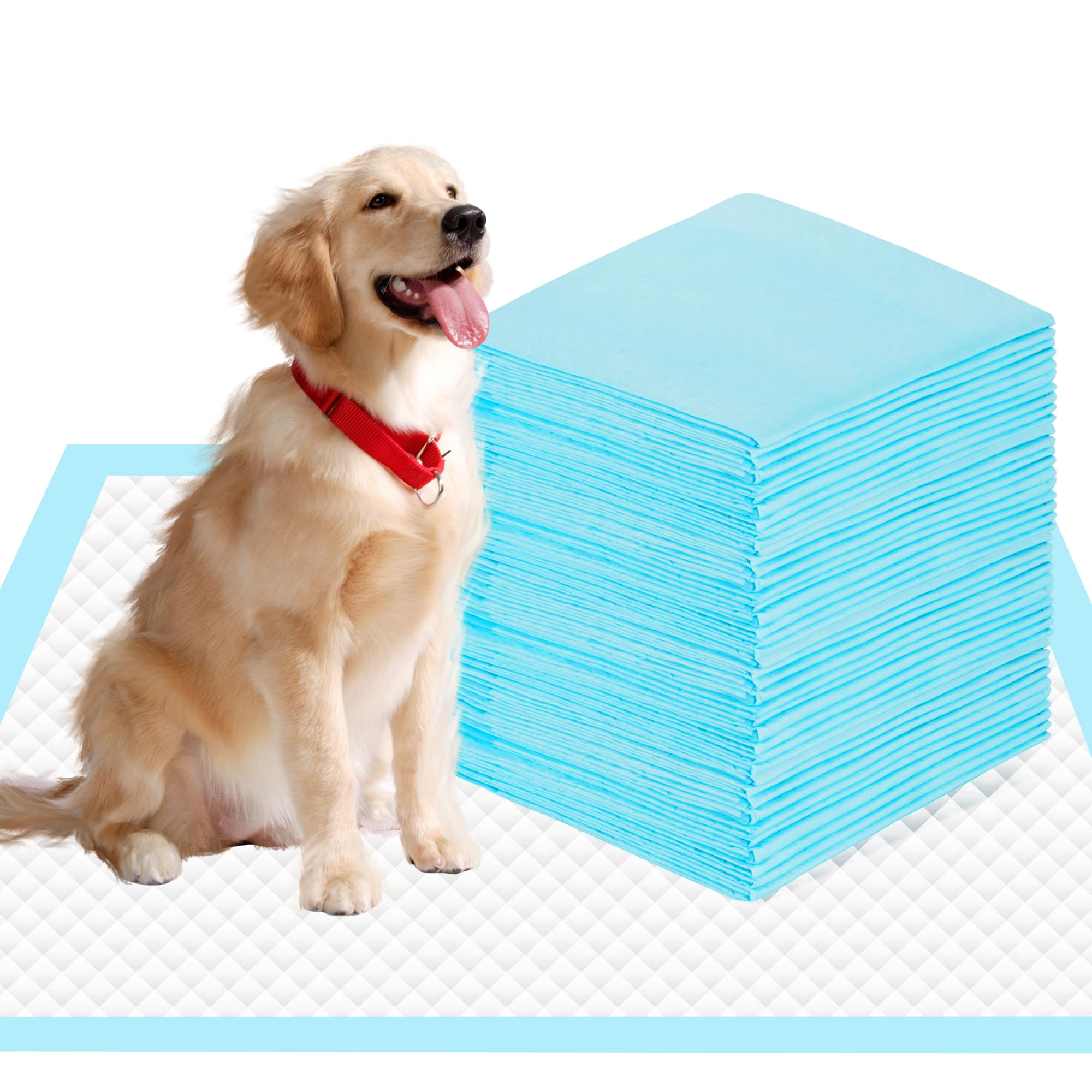 SAP FRIENDLY tapete absorbente 28x34 para perros, protege suelos con absorcion rapida