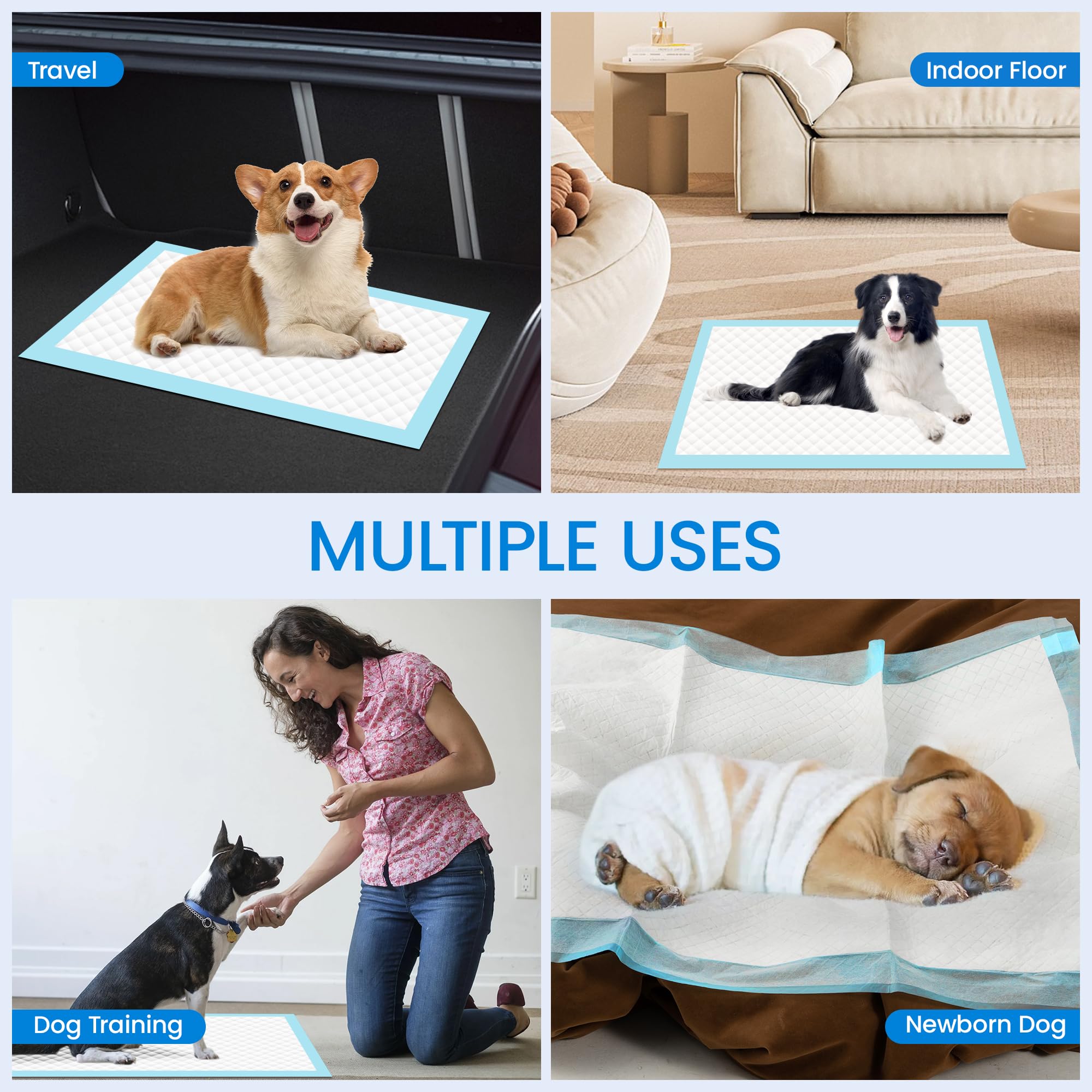 SAP FRIENDLY tapete perros 28x34 10 uds, practica y desechable