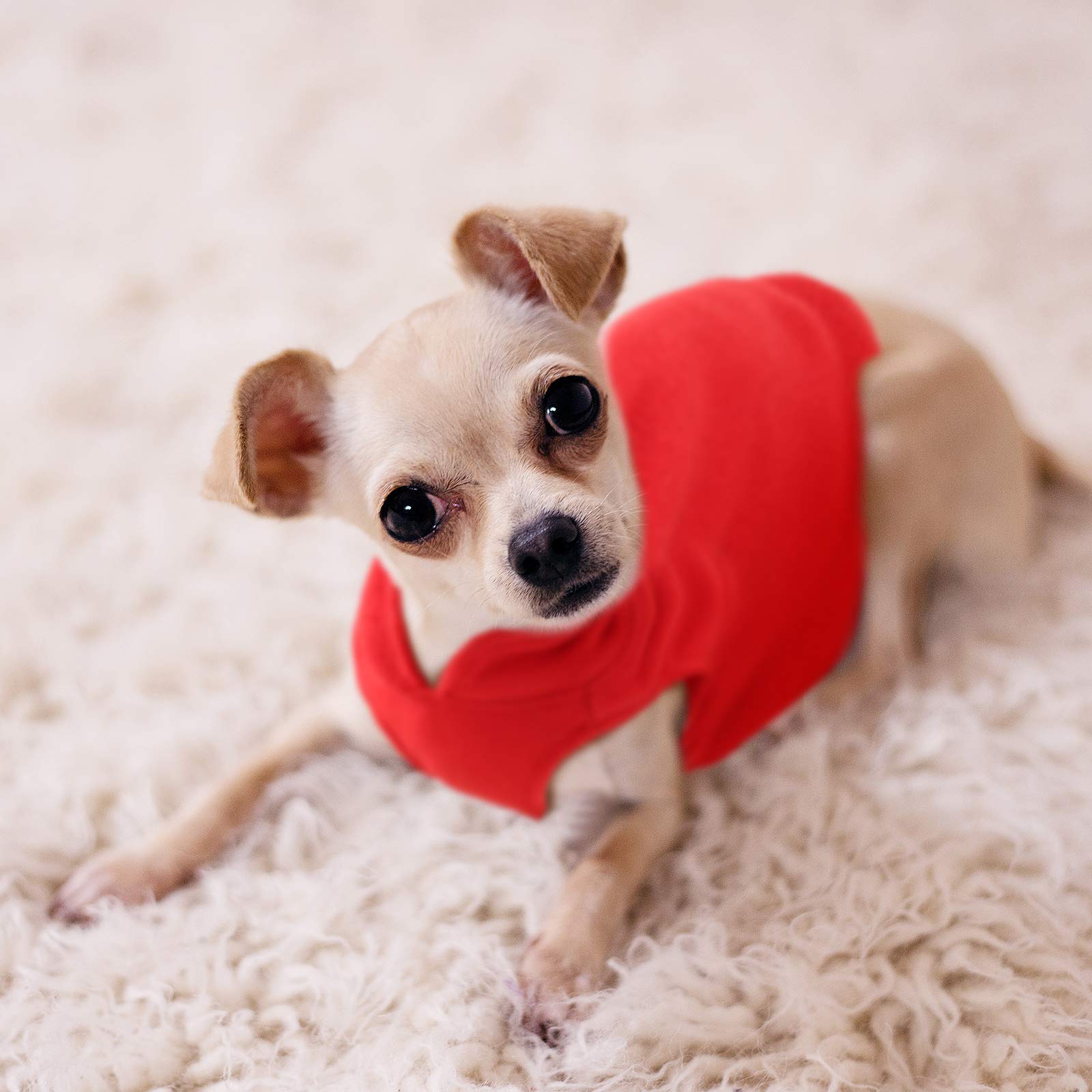 SATINIOR chaleco para perro, detalle textura forro polar para mayor suavidad y abrigo