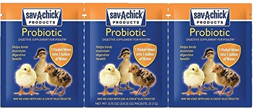 Sav-A-Chick probiótico en mezcla de agua para apoyo digestivo de aves.