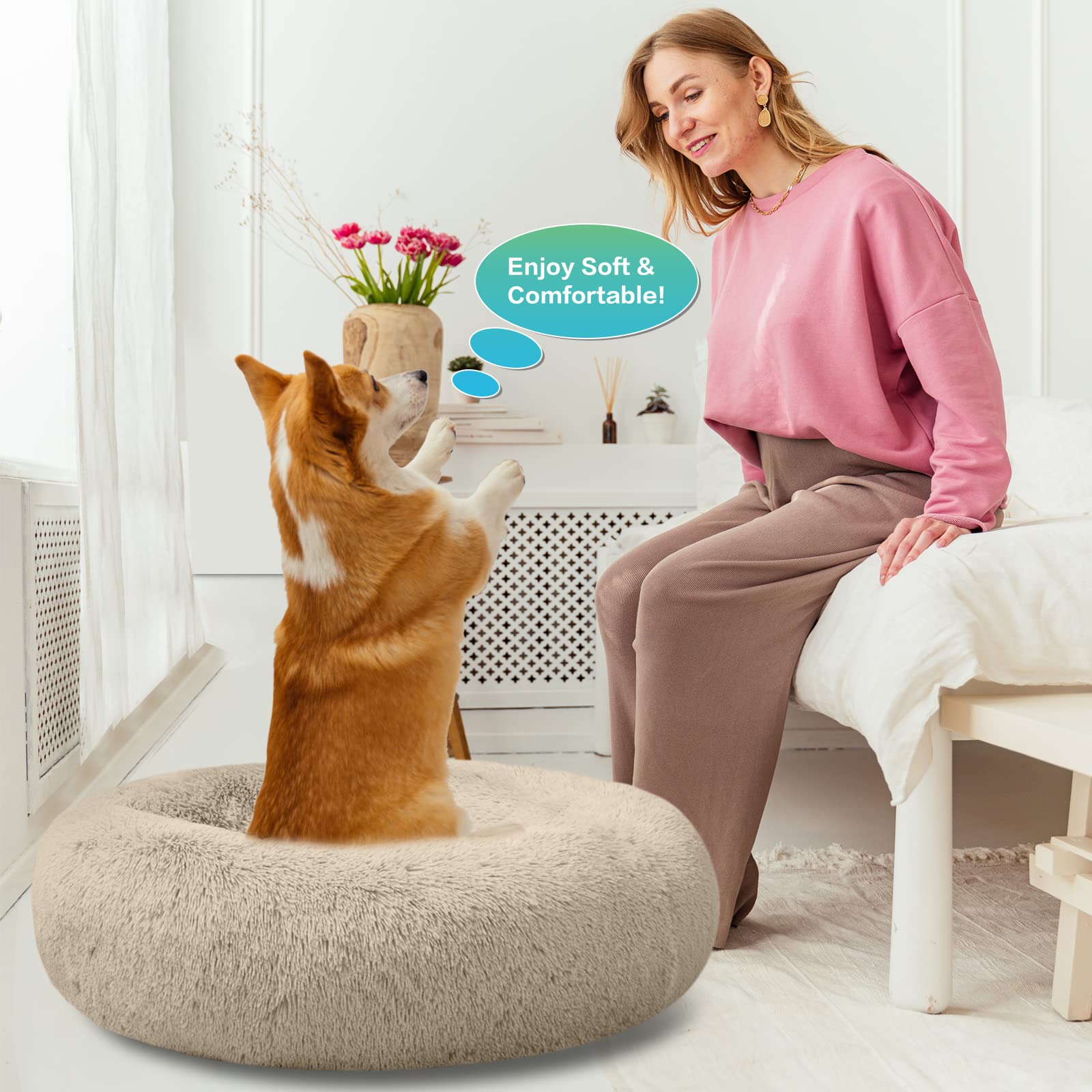 Disponible en XS a XXL para perros y gatos, adaptabilidad.