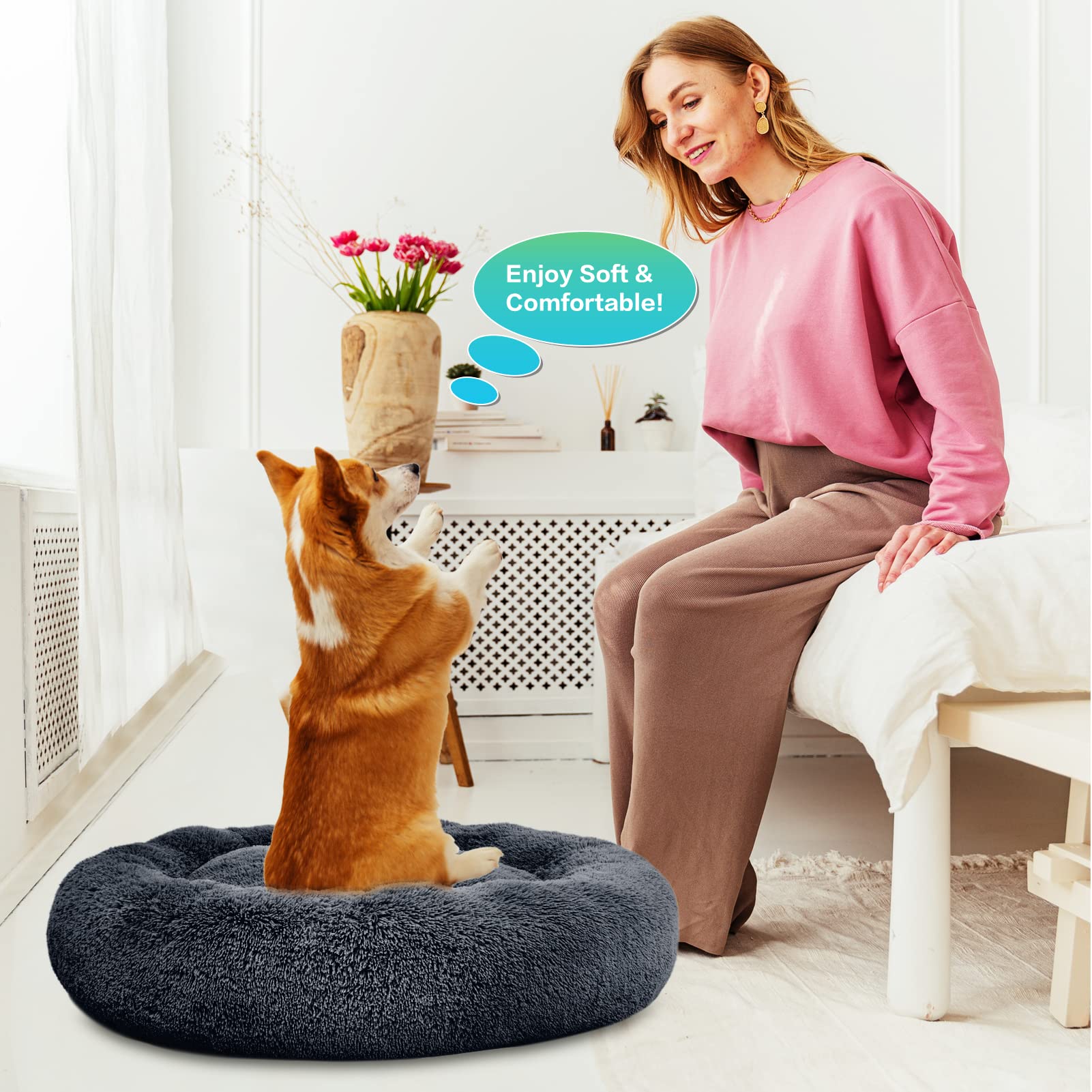 SAVFOX cama donut plush tamaños múltiples, vista de conjunto; apta para perros de varias razas.