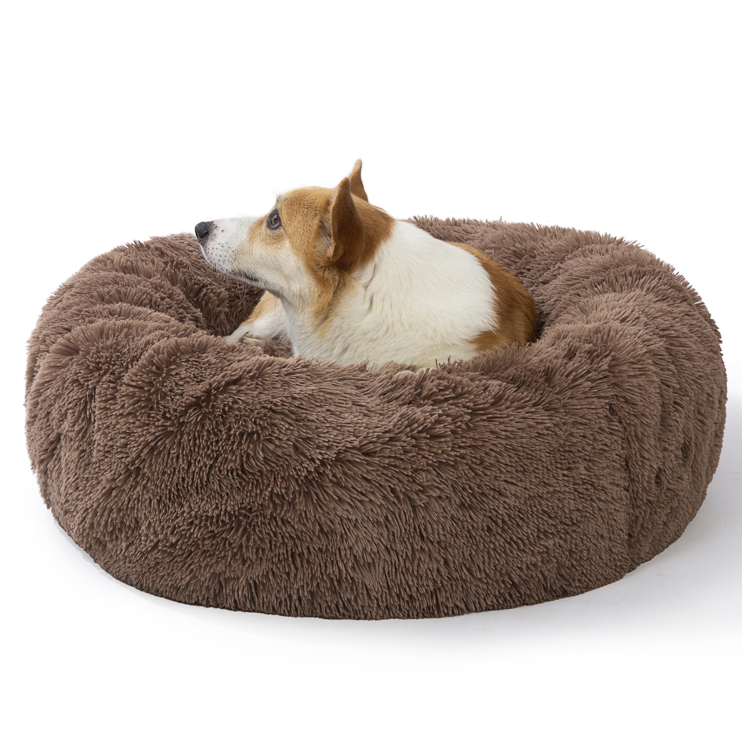 SAVFOX cama dona con diseño elegante para descanso cómodo en casa